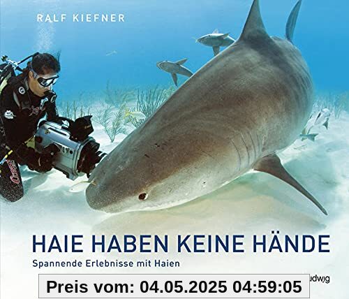 Haie haben keine Hände – Spannende Erlebnisse mit Haien