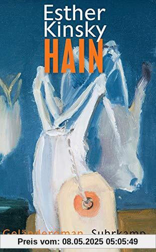 Hain: Geländeroman (suhrkamp taschenbuch)
