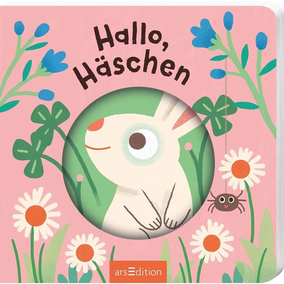 Hallo, Häschen Hallo, Häschen von Ars Edition GmbH