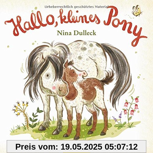 Hallo, kleines Pony!