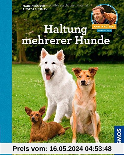 Haltung mehrerer Hunde: Martin Rütters Hundeschule