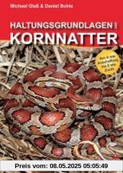 Haltungsgrundlagen der Kornnatter