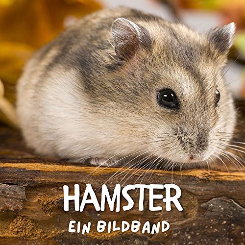 Hamster: Ein Bildband von 27 Amigos