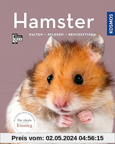 Hamster: halten, pflegen, beschäftigen (Mein Tier)