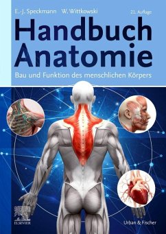 Handbuch Anatomie von Elsevier, München