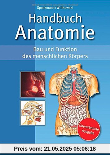 Handbuch Anatomie: Bau und Funktion des menschlichen Körpers