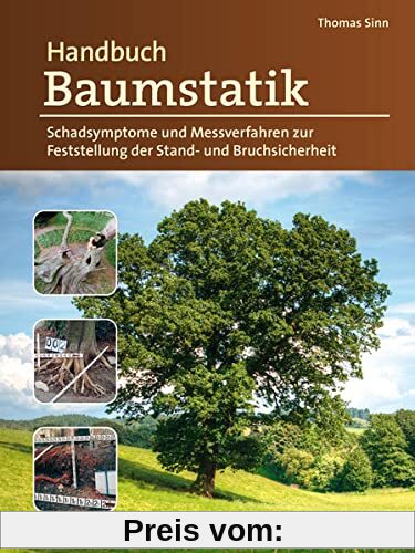 Handbuch Baumstatik: Schadsymptome und Messverfahren zur Feststellung der Stand- und Bruchsicherheit