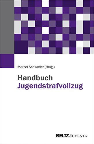 Handbuch Jugendstrafvollzug von Beltz Juventa
