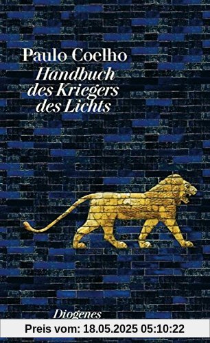 Handbuch des Kriegers des Lichts (detebe)