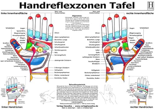 Handreflexzonen Tafel - A3 (laminiert) von Hawelka Verlag