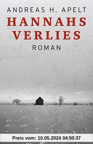 Hannahs Verlies: Roman