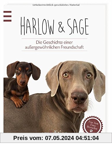 Harlow & Sage: Die Geschichte einer außergewöhnlichen Freundschaft