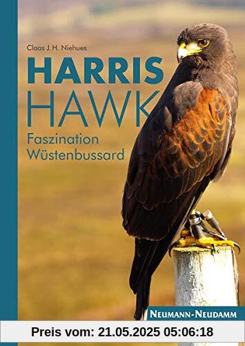Harris Hawk: Faszination Wüstenbussard