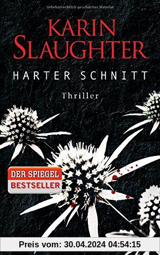Harter Schnitt: Thriller (Georgia-Serie, Band 3)