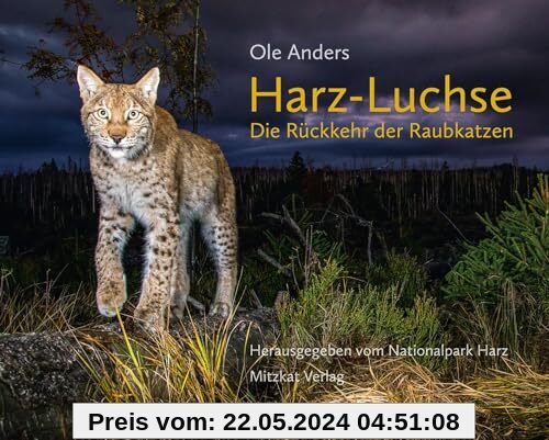 Harz-Luchse Die Rückkehr der Raubkatzen