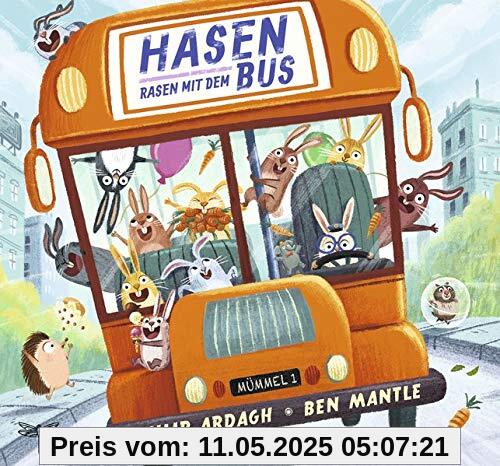 Hasen rasen mit dem Bus
