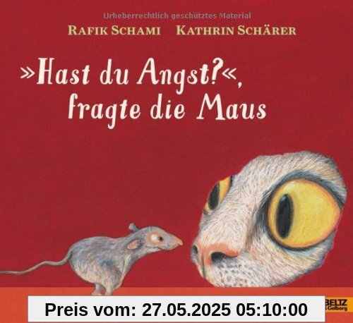 »Hast du Angst?«, fragte die Maus: Vierfarbiges Bilderbuch