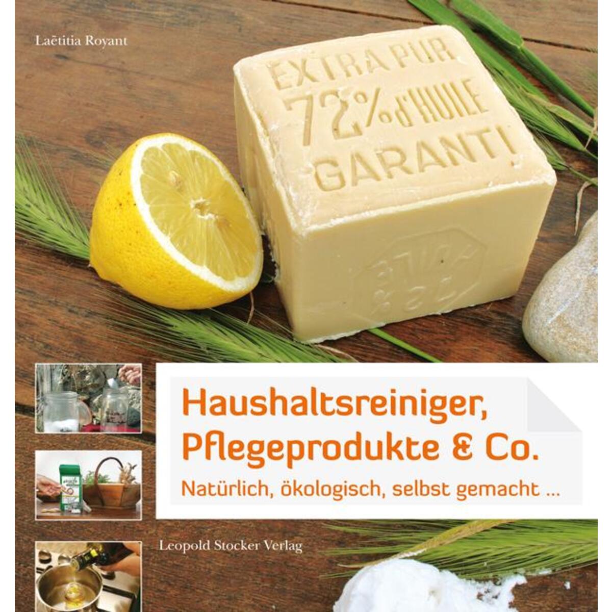 Haushaltsreiniger, Haushaltsreiniger, von Stocker Leopold Verlag