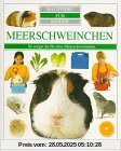 Haustiere für Kinder. Meerschweinchen