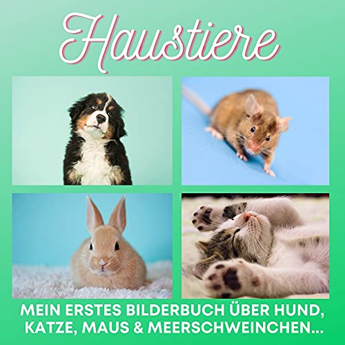 Haustiere: Mein erstes Bilderbuch über Hund, Katze, Maus & Meerschweinchen...
