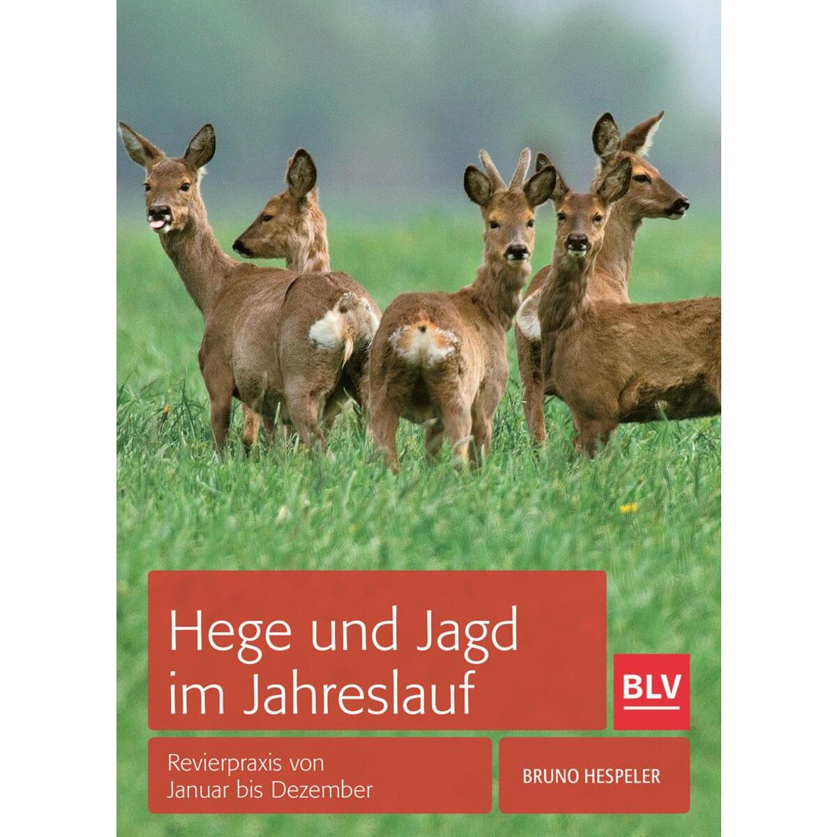 Hege und Jagd im Jahreslauf von Blv