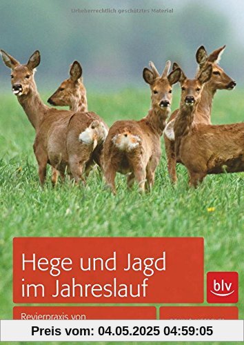 Hege und Jagd im Jahreslauf: Revierpraxis von Januar bis Dezember Hege und Jagd im Jahreslauf: Revierpraxis von Januar bis Dezember