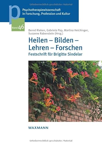 Heilen - Bilden - Lehren - Forschen: Festschrift für Brigitte Sindelar Heilen - Bilden - Lehren - Forschen: Festschrift für Brigitte Sindelar von Waxmann Verlag