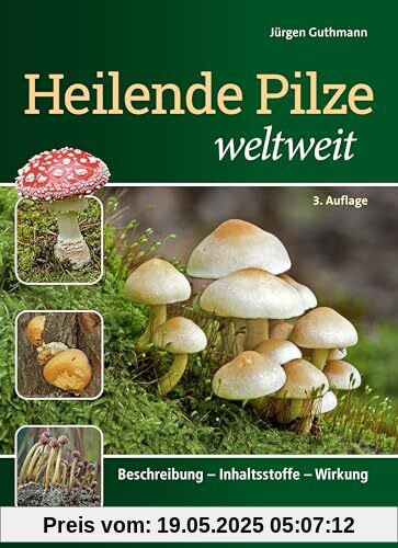 Heilende Pilze weltweit: Beschreibung – Inhaltsstoffe – Wirkung