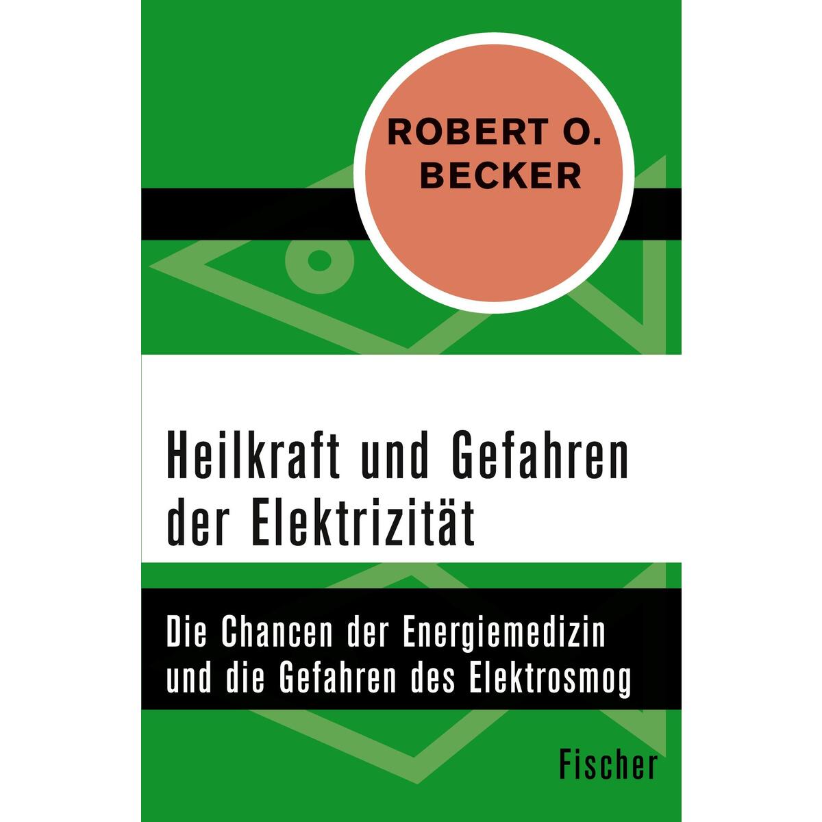 Heilkraft und Gefahren der Elektrizität Heilkraft und Gefahren der Elektrizität von S. Fischer Verlag