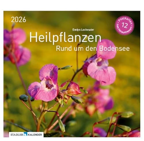 Heilpfanzen rund um den Bodensee 2026: Postkarten-Tischkalender Heilpfanzen rund um den Bodensee 2026: Postkarten-Tischkalender von Stadler Kalender