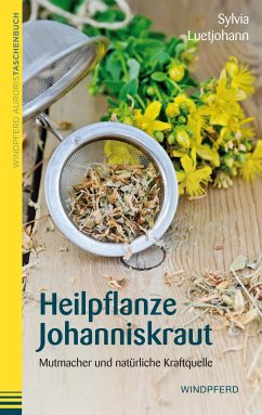 Heilpflanze Johanniskraut von Windpferd