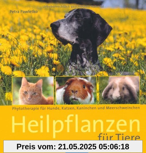 Heilpflanzen für Tiere: Phytotherapie für Hunde, Katzen, Kaninchen und Meerschweinchen