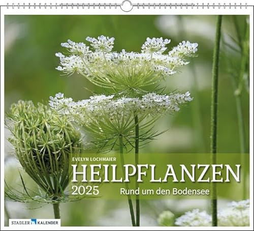 Heilpflanzen rund um den Bodensee 2025 von Stadler Kalender