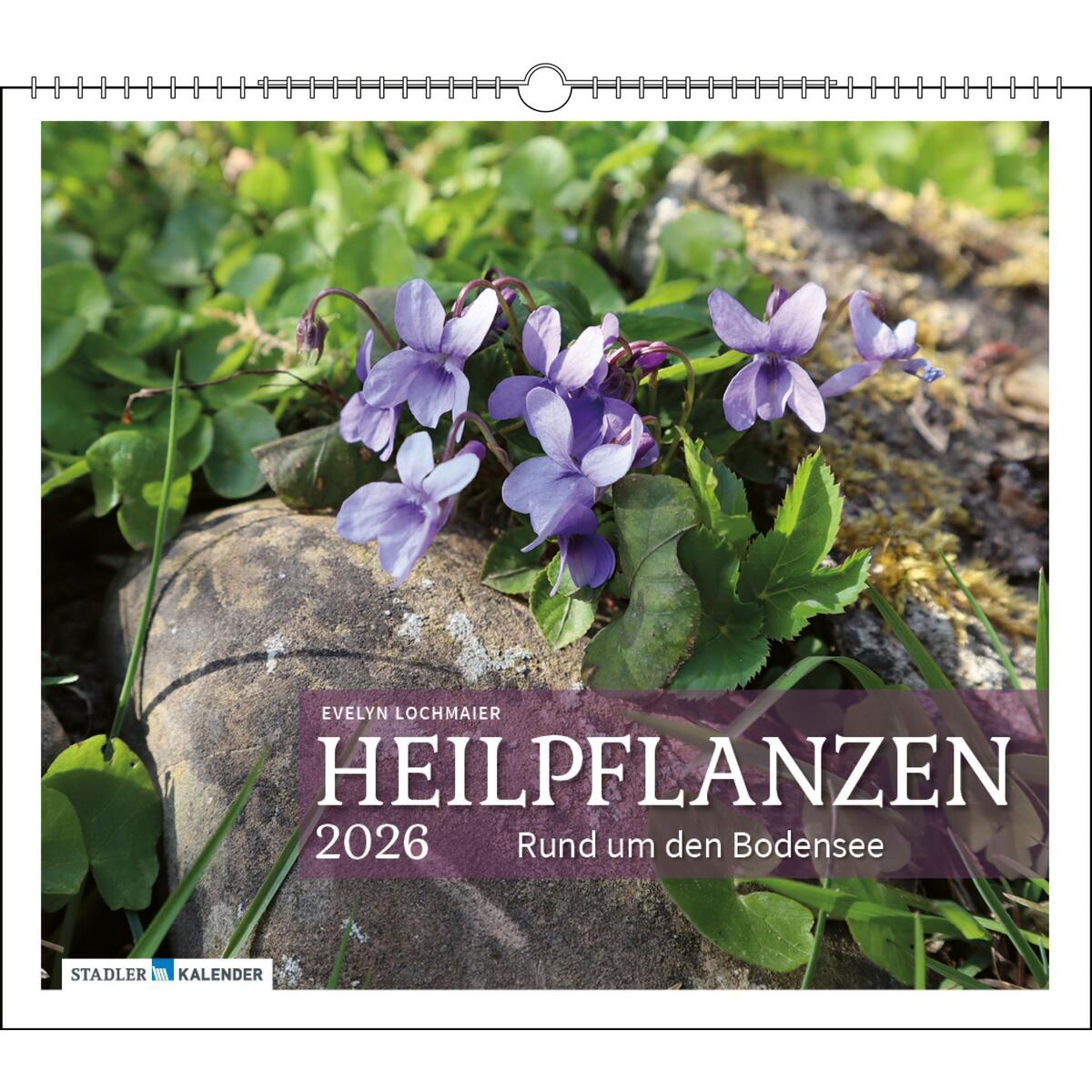 Heilpflanzen rund um den Bodensee 2026 von Stadler Kalender