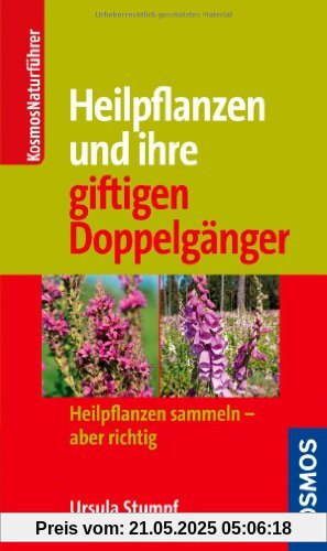 Heilpflanzen und ihre giftigen Doppelgänger: Heilpflanzen sammeln - aber richtig