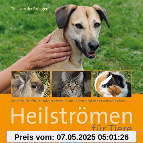Heilströmen für Tiere: Selbsthilfe für Hunde, Katzen, Kaninchen und Meerschweinchen