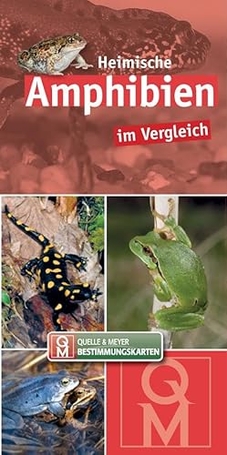 Heimische Amphibien: im Vergleich (Quelle & Meyer Bestimmungskarten)