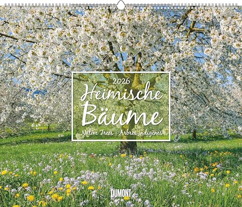 Heimische Bäume 2026 – Wandkalender 60x50 cm – Spiralbindung: Native Trees, Arbres indigènes Heimische Bäume 2026 – Wandkalender 60x50 cm – Spiralbindung: Native Trees, Arbres indigènes von DUMONT