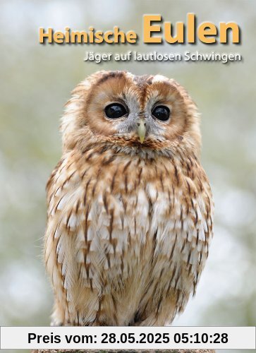 Heimische Eulen: Jäger auf lautlosen Schwingen
