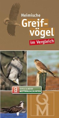 Bestimungskarten Heimische Greifvögel von Quelle & Meyer