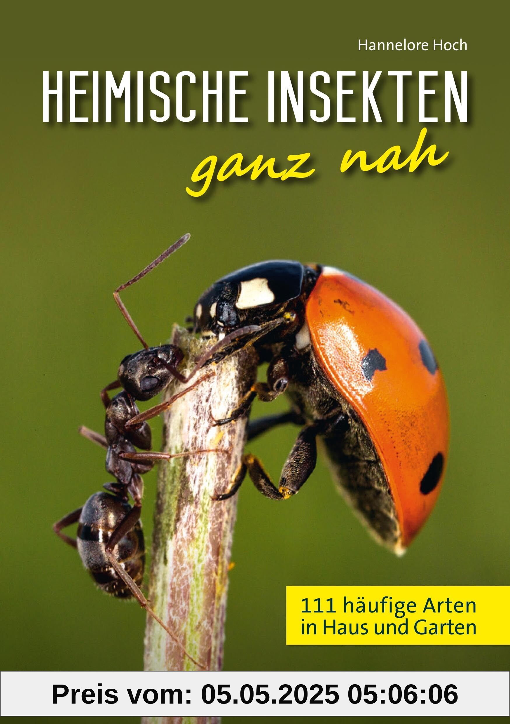 Heimische Insekten ganz nah: 111 häufige Arten in Haus und Garten Heimische Insekten ganz nah: 111 häufige Arten in Haus und Garten