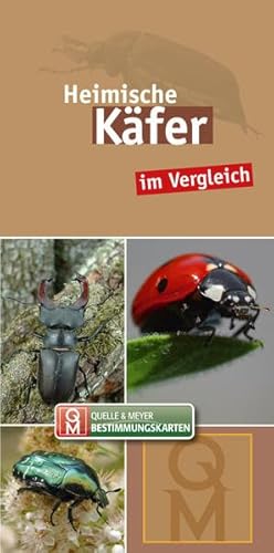 Heimische Käfer: im Vergleich (Quelle & Meyer Bestimmungskarten)