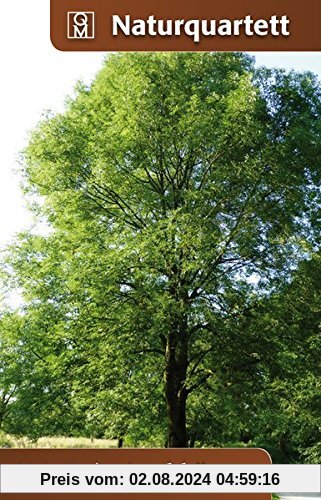 Heimische Laubbäume: Quelle & Meyer Naturquartett