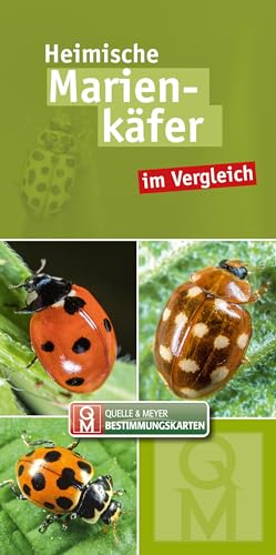 Heimische Marienkäfer: im Vergleich (Quelle & Meyer Bestimmungskarten)