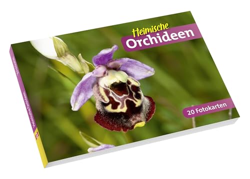 Heimische Orchideen: 20 Fotokarten Heimische Orchideen: 20 Fotokarten