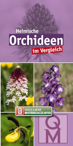 Heimische Orchideen: im Vergleich (Quelle & Meyer Bestimmungskarten)