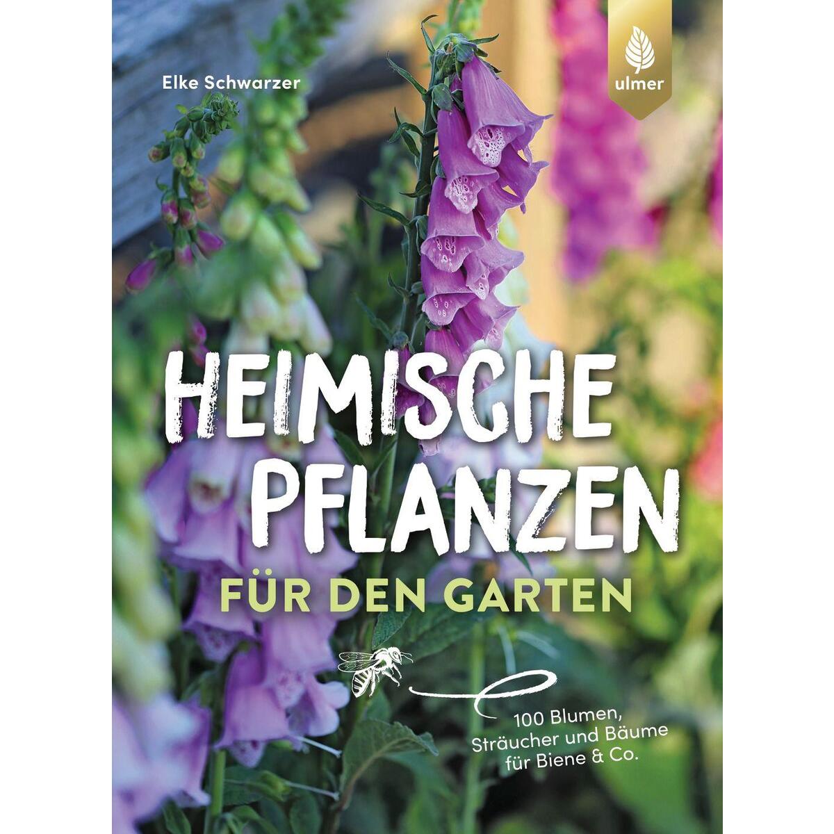 Heimische Pflanzen für den Garten Heimische Pflanzen für den Garten von Ulmer Eugen Verlag