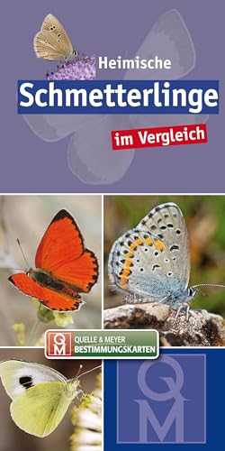 Heimische Schmetterlinge: im Vergleich (Quelle & Meyer Bestimmungskarten)