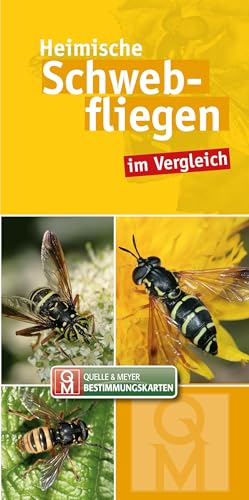 Heimische Schwebfliegen: im Vergleich (Quelle & Meyer Bestimmungskarten)