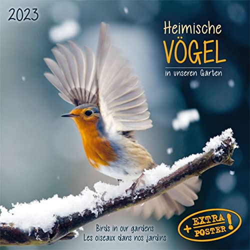 Heimische Vögel 2023: Kalender 2023 (Artwork Edition)